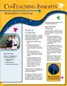 Co-Teaching Insights