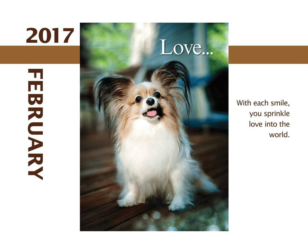 2017-Calendar-Feb-thru-Dec-MandO-no-bleed